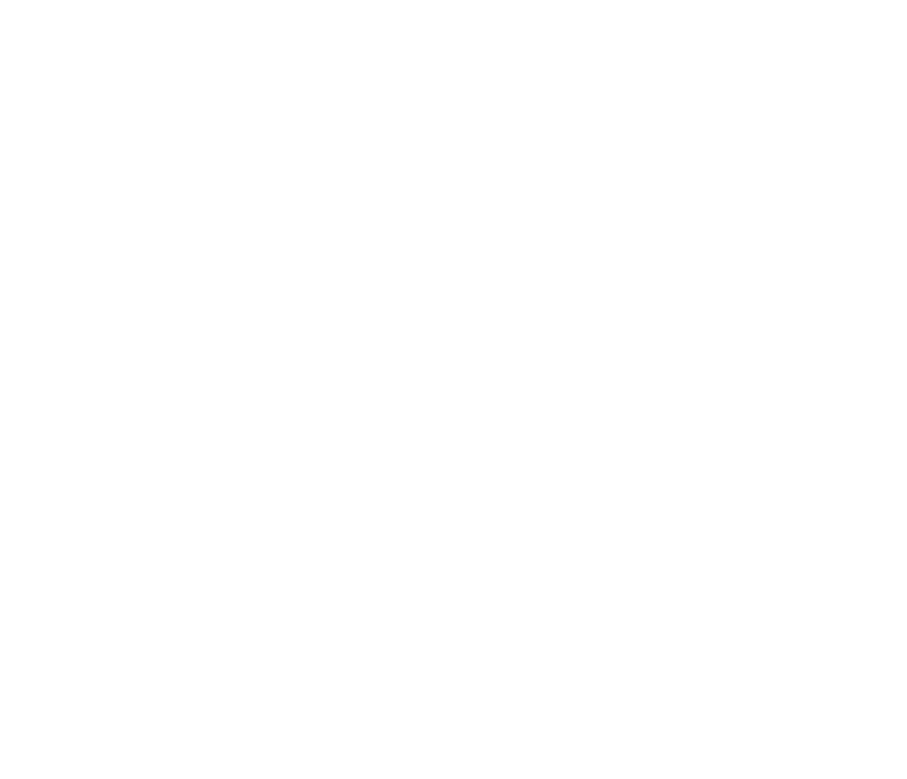 Immersive Images Logo